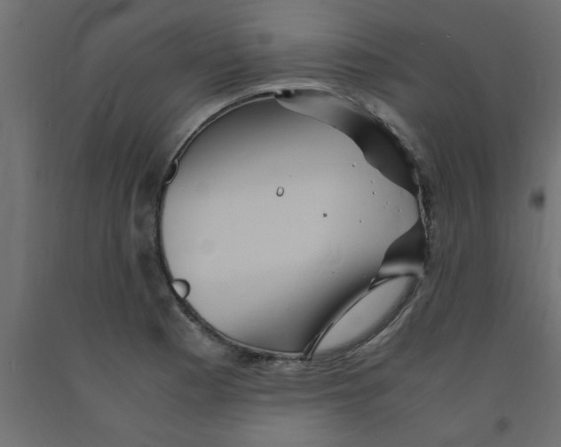X0000090861177200708241852