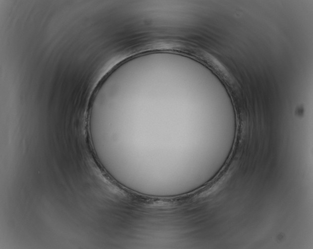 X0000090861178200708241852