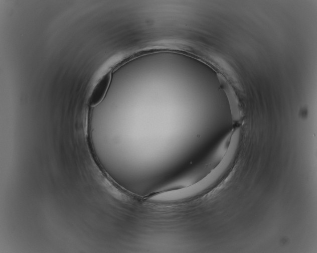 X0000090861180200708241852