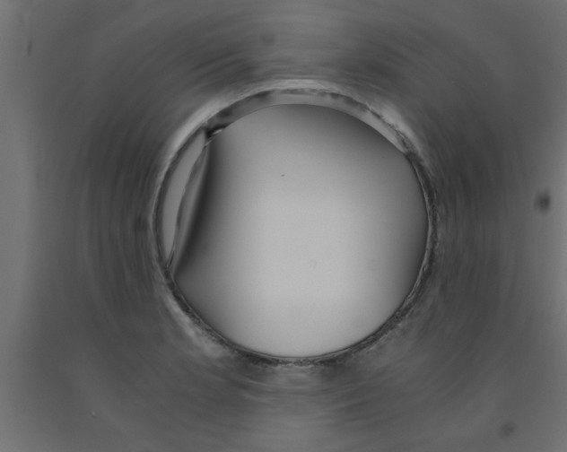 X0000090861181200708241852