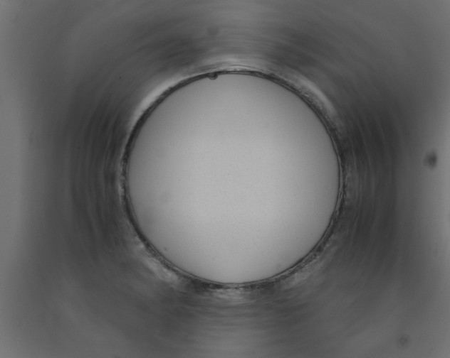 X0000090861182200708241852