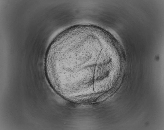 X0000090861183200708241852