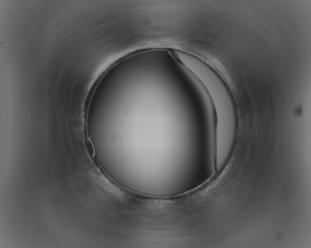 X0000090861184200708241852