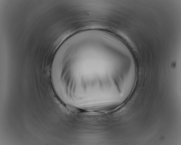 X0000090861185200708241852