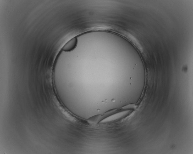 X0000090861186200708241852