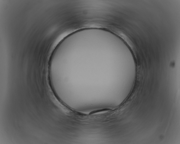 X0000090861187200708241852