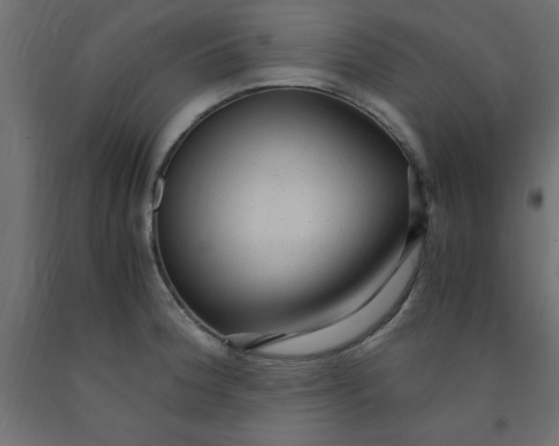 X0000090861188200708241852