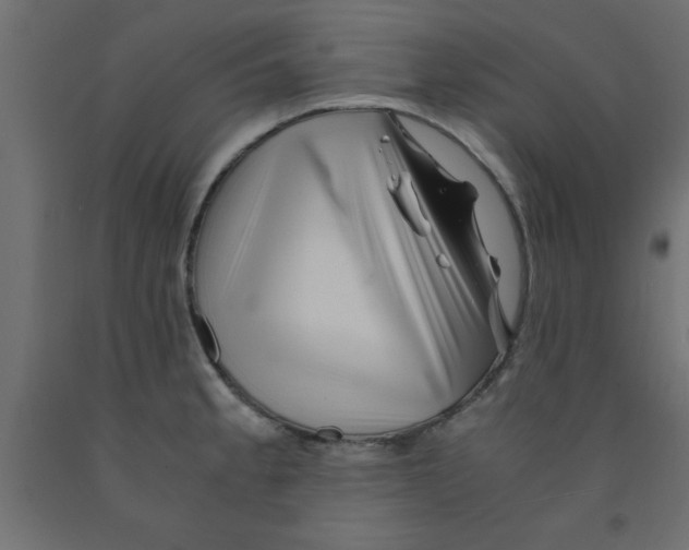 X0000090861189200708241852
