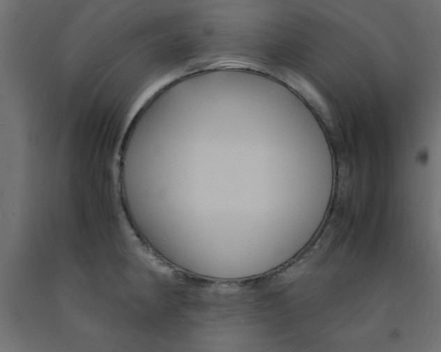 X0000090861190200708241852