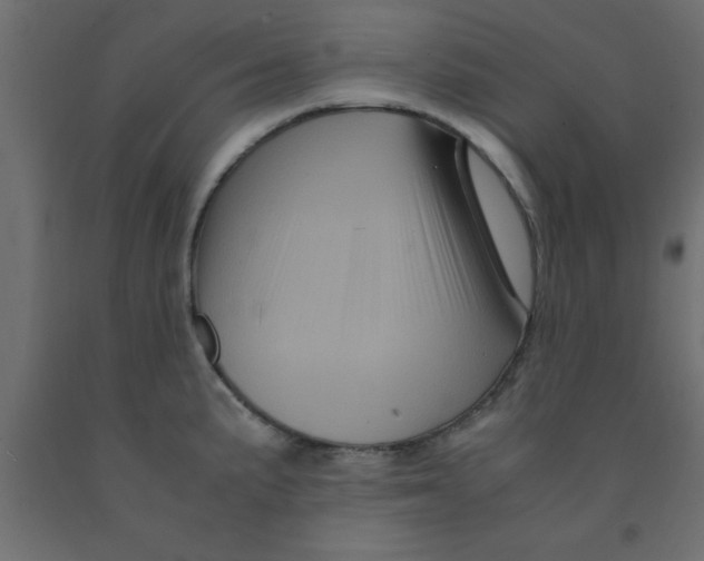 X0000090861191200708241852