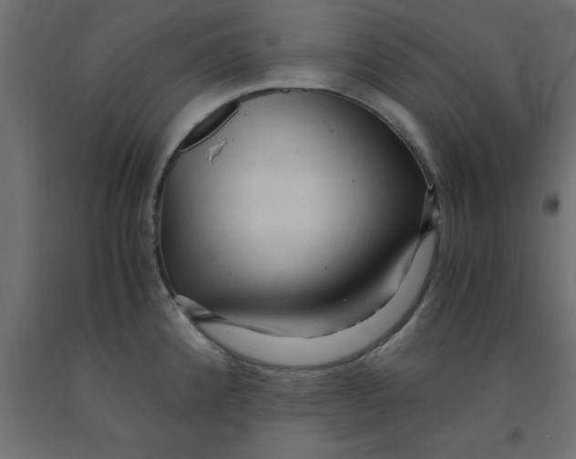 X0000090861192200708241851