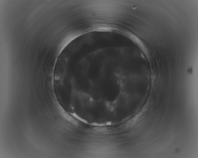 X0000090861194200708241851