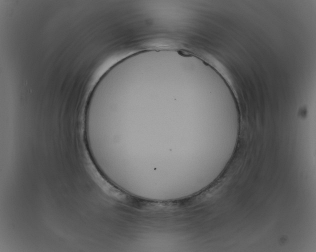 X0000090861195200708241851