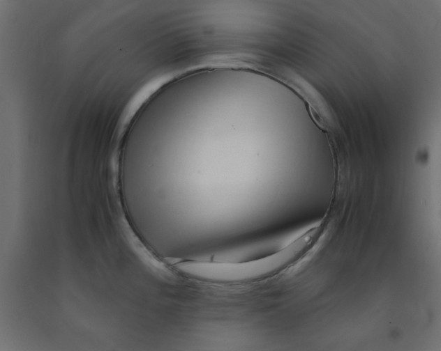 X0000090861196200708241851