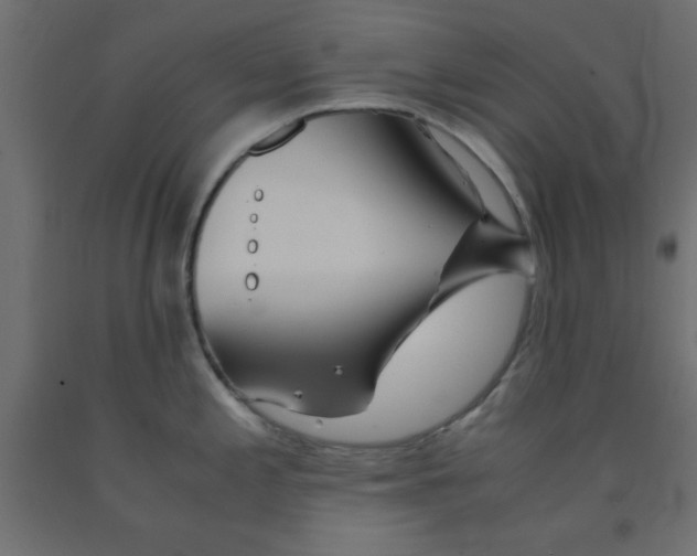 X0000090861197200708241851