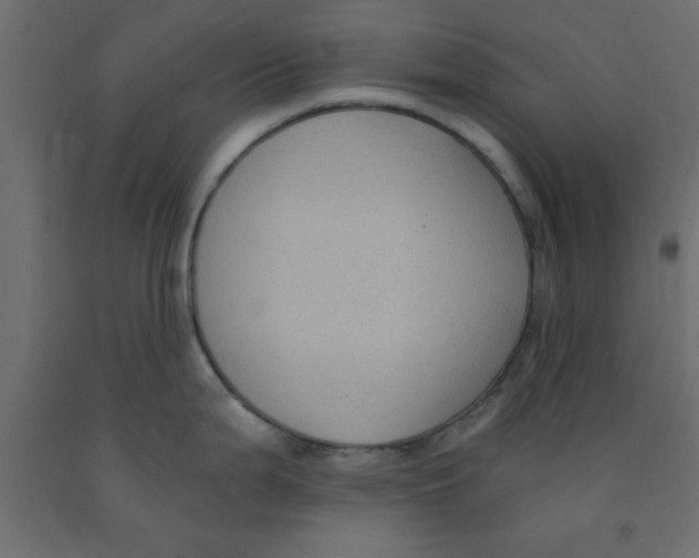 X0000090861199200708241851