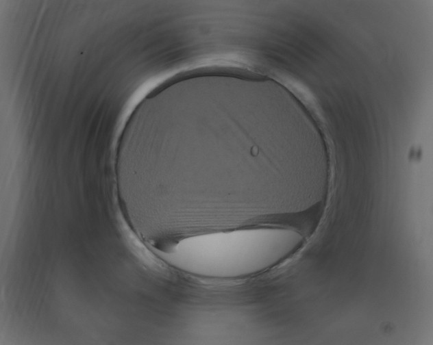 X0000090861200200708241851