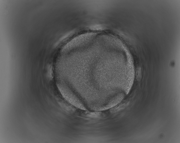 X0000090861205200708241851