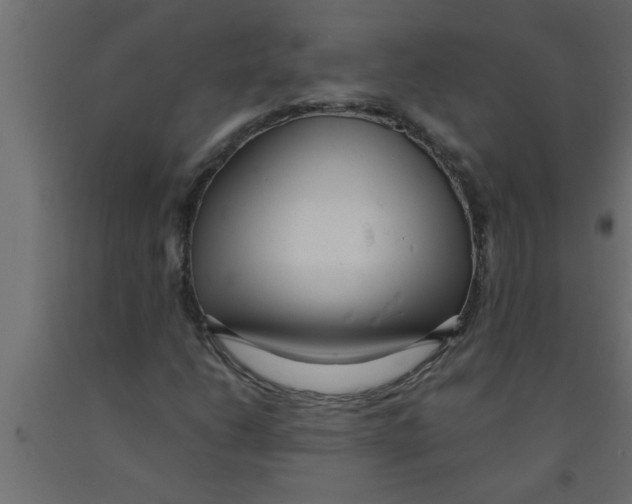 X0000090861206200708241851