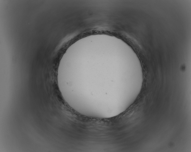 X0000090861207200708241851