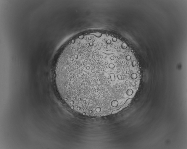 X0000090861208200708241851