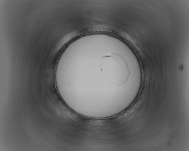 X0000090861211200708241851