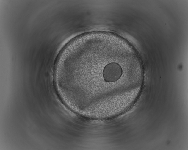 X0000090861212200708241851