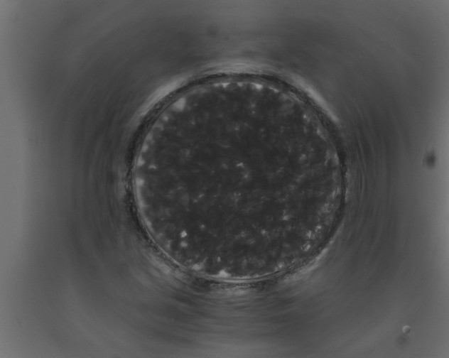 X0000090861213200708241851