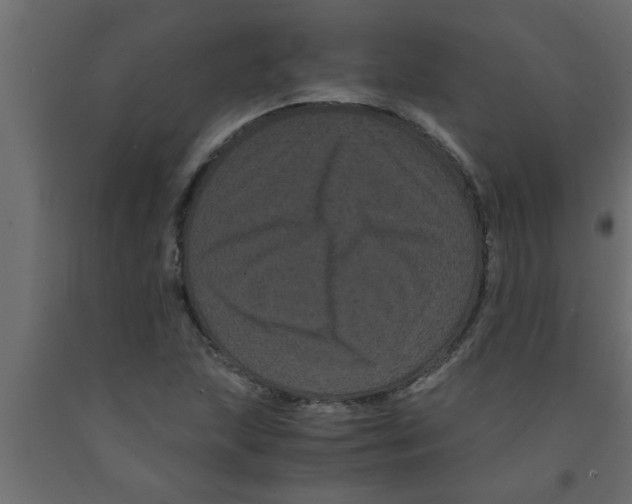 X0000090861215200708241851