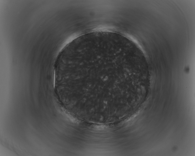 X0000090861219200708241851