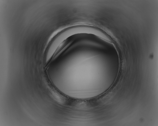 X0000090861222200708241851