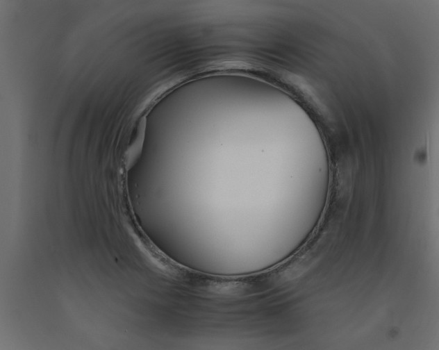 X0000090861225200708241851