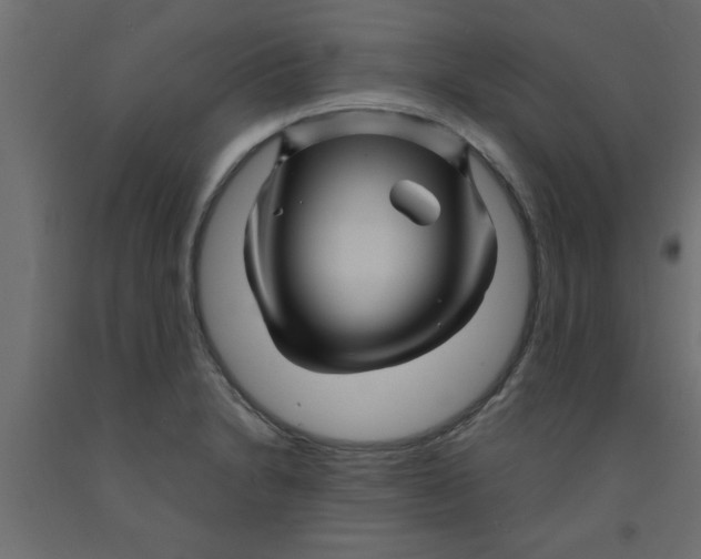 X0000090861230200708241851