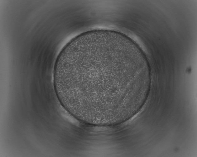 X0000090861232200708241851