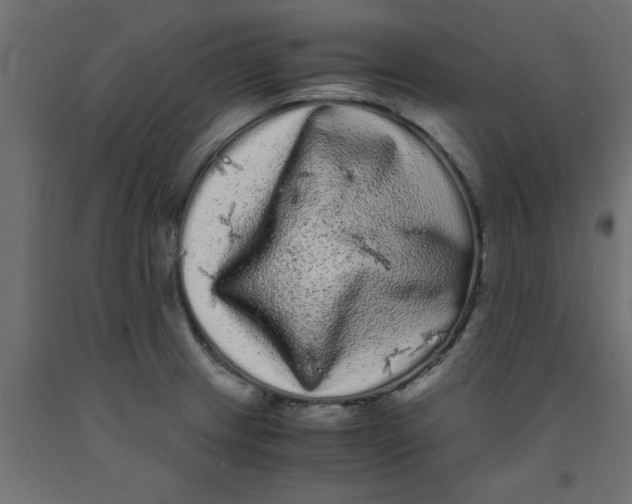 X0000090861233200708241851