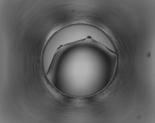 X0000090861234200708241851