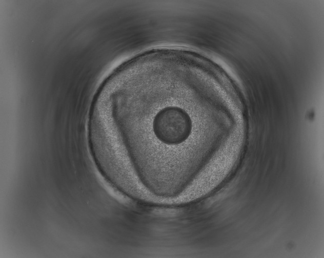 X0000090861237200708241851