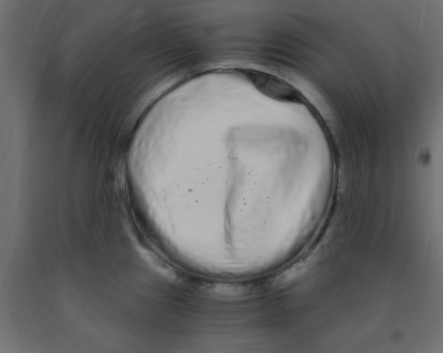 X0000090861241200708241851