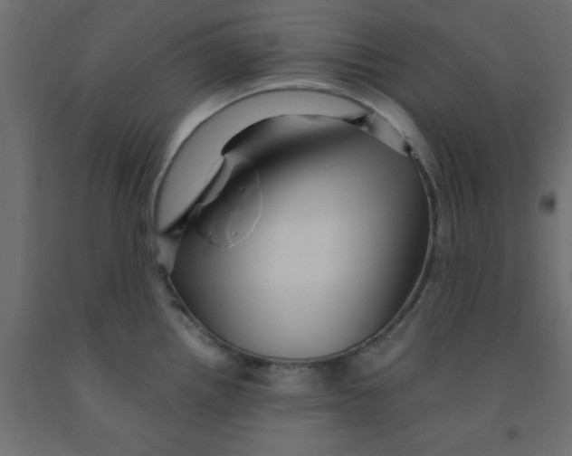 X0000090861242200708241851