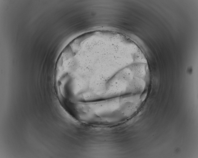 X0000090861244200708241851