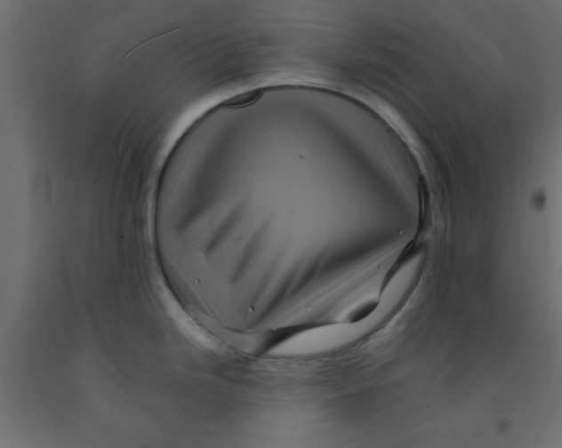 X0000090861246200708241851