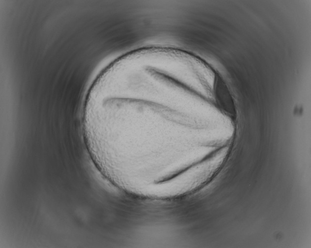 X0000090861248200708241851