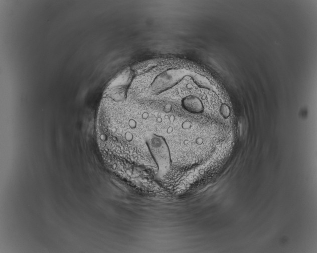 X0000090861251200708241851