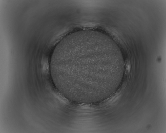 X0000090861252200708241851