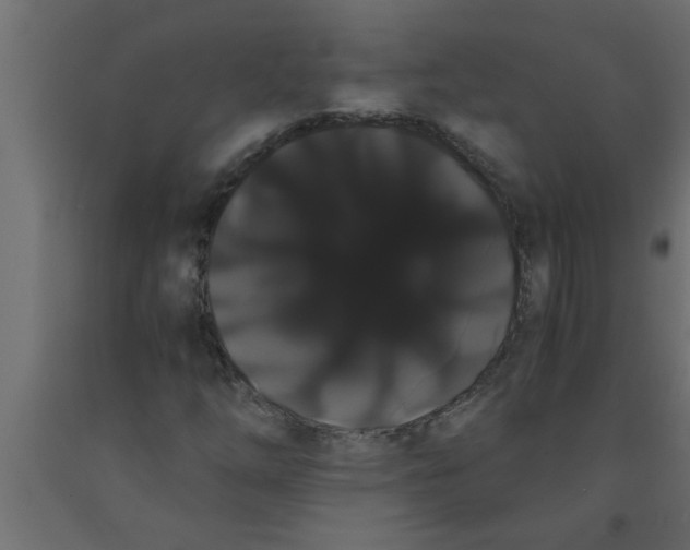 X0000090861254200708241851