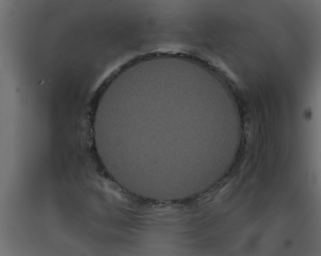 X0000090861256200708241851