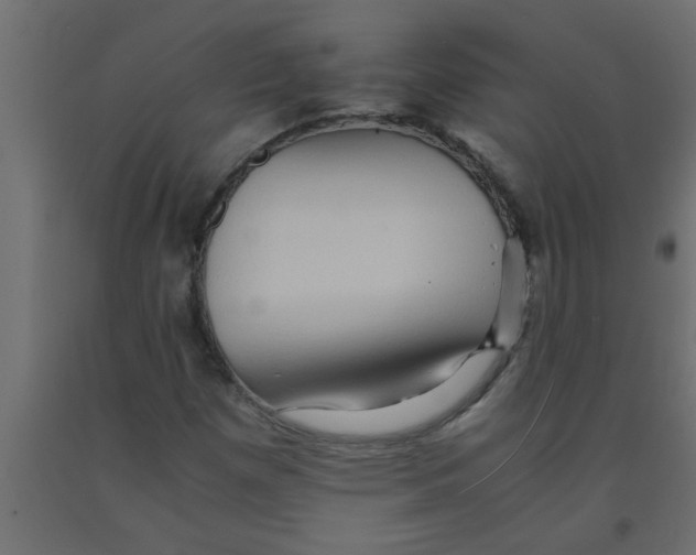 X0000090861257200708241851