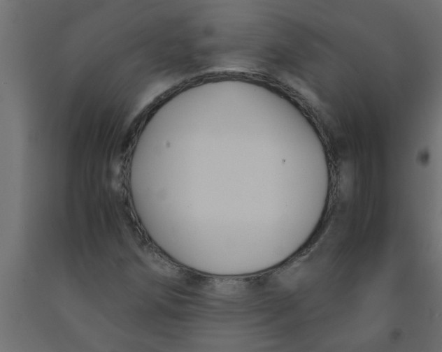 X0000090861258200708241851