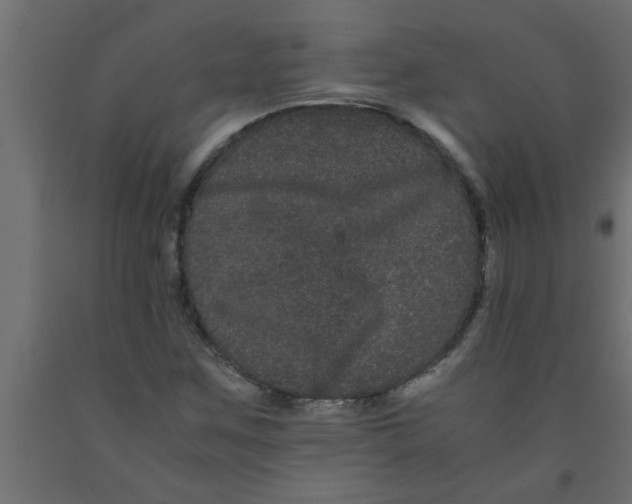 X0000090861259200708241851