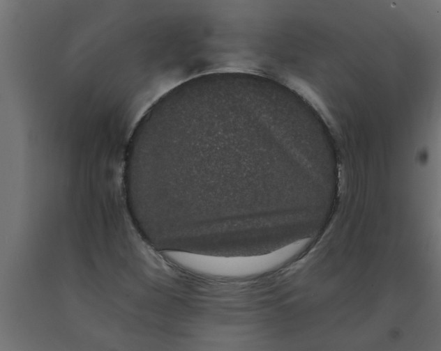 X0000090861260200708241851